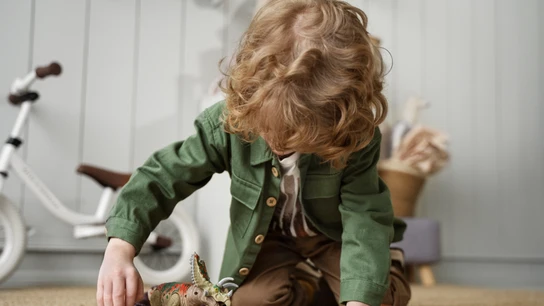 Un niño jugando con sus juguetes. Un niño jugando con sus juguetes.