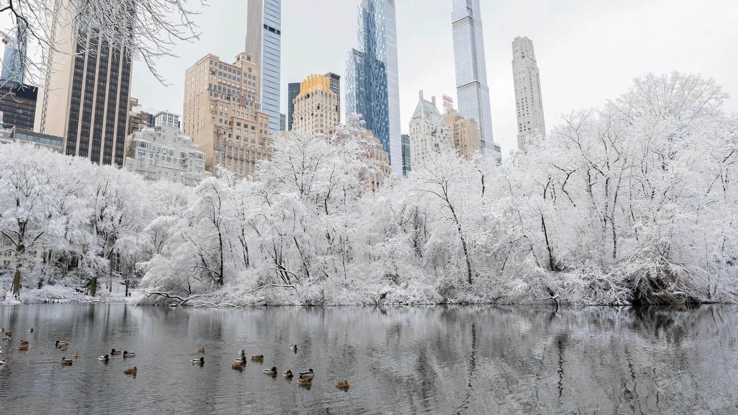 Central Park durante la primera nevada este domingo, en Nueva York Central Park durante la primera nevada este domingo, en Nueva York
