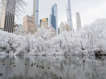 Central Park durante la primera nevada este domingo, en Nueva York