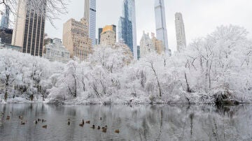 Central Park durante la primera nevada este domingo, en Nueva York