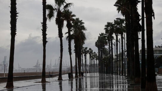 En la imagen el Puerto de Val&eacute;ncia desde la playa de La Malvarrosa . 