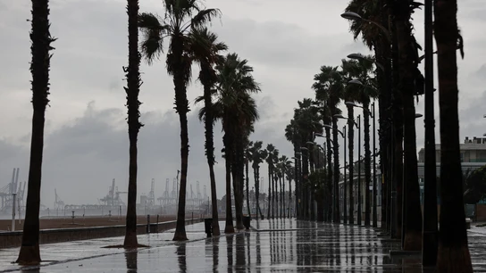 En la imagen el Puerto de Valéncia desde la playa de La Malvarrosa . En la imagen el Puerto de Valéncia desde la playa de La Malvarrosa .