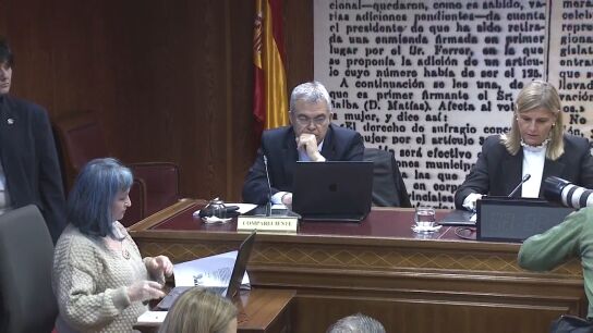 Cerd&aacute;n comparece en la comisi&oacute;n del Senado por el caso Koldo