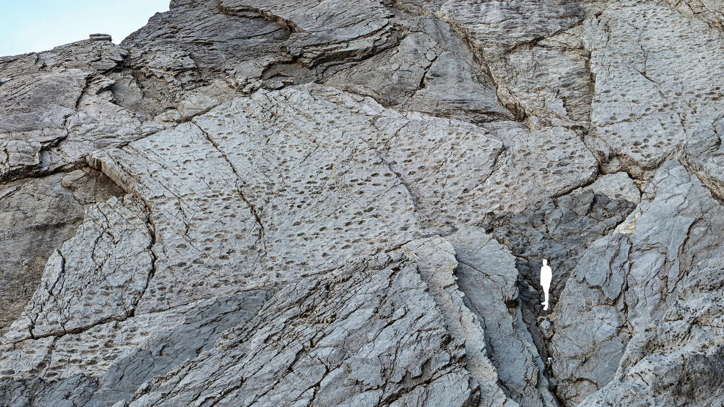 En el Parque Nacional de Stelvio, en los Dolomitas italianos, se ha descubierto lo que todos llaman ya el “valle de los dinosaurios”. En el Parque Nacional de Stelvio, en los Dolomitas italianos, se ha descubierto lo que todos llaman ya el “valle de los dinosaurios”.