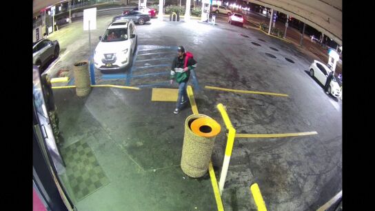 Salen a la luz nuevas im&aacute;genes de Nick Reiner tras el presunto asesinato de sus padres Rob y Michele