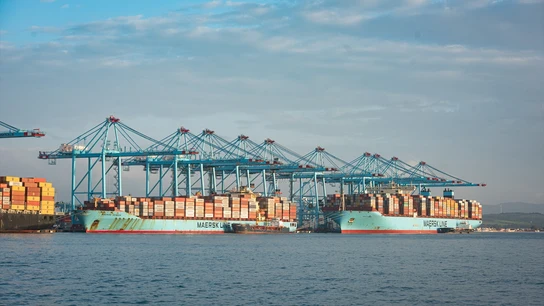 Dos buques portacontenedores en Algeciras Dos buques portacontenedores en Algeciras