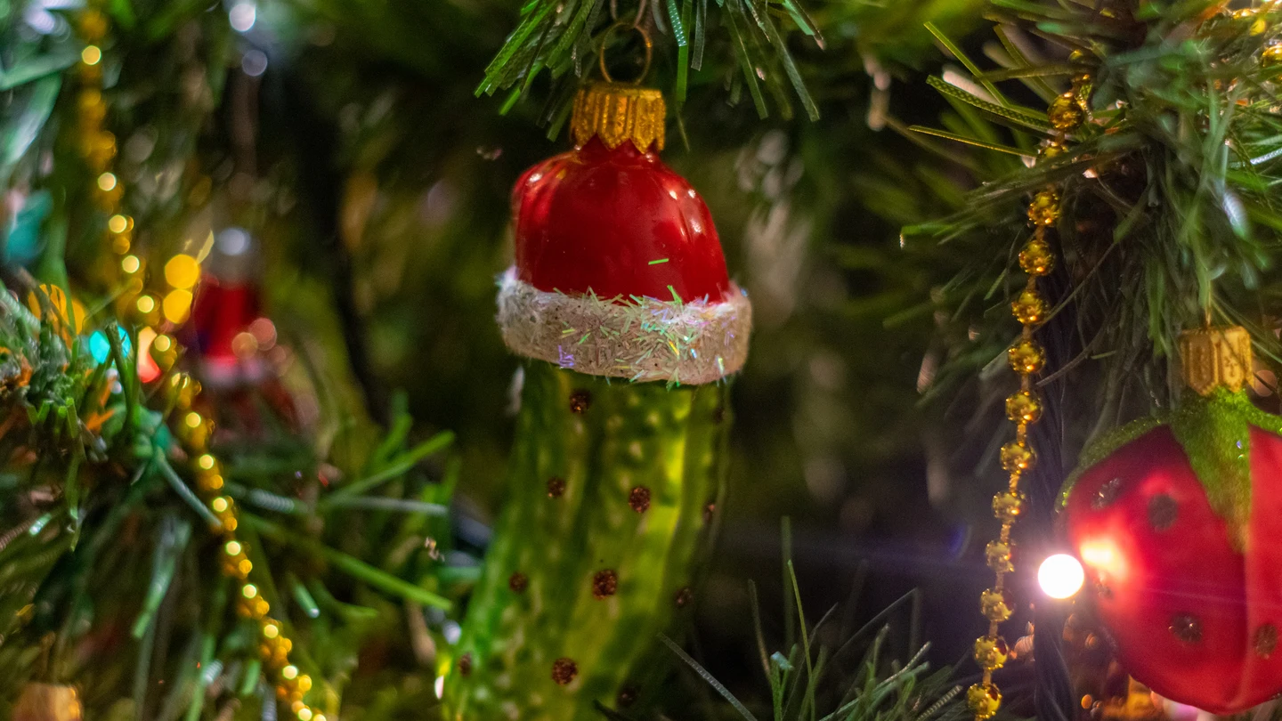 Adorno de pepinillo verde cuelga en un árbol de Navidad Adorno de pepinillo verde cuelga en un árbol de Navidad
