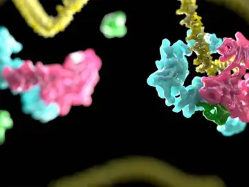 Anemia de Fanconi Anemia de Fanconi