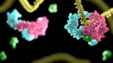 Anemia de Fanconi Anemia de Fanconi