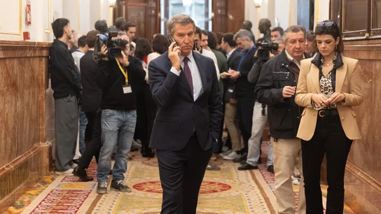 El presidente del PP, Alberto Núñez Feijóo, conversa por teléfono tras una sesión plenaria en el Congreso El presidente del PP, Alberto Núñez Feijóo, conversa por teléfono tras una sesión plenaria en el Congreso