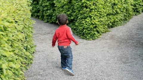 Niño Niño