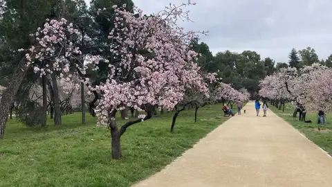 Quinta de los Molinos Quinta de los Molinos