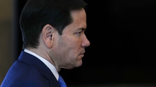 Imagen de archivo de Rubio