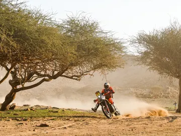 El piloto australiano Daniel Sanders (KTM), en el Rally Dakar 2026. El piloto australiano Daniel Sanders (KTM), en el Rally Dakar 2026.