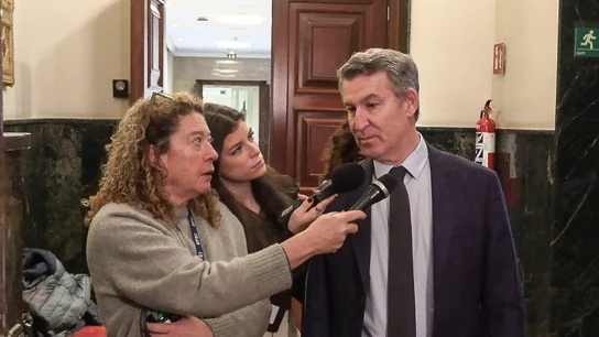 El presidente del PP, Alberto Núñez Feijóo, a su llegada para declarar ante la jueza de la DANA desde su despacho en el Congreso El presidente del PP, Alberto Núñez Feijóo, a su llegada para declarar ante la jueza de la DANA desde su despacho en el Congreso