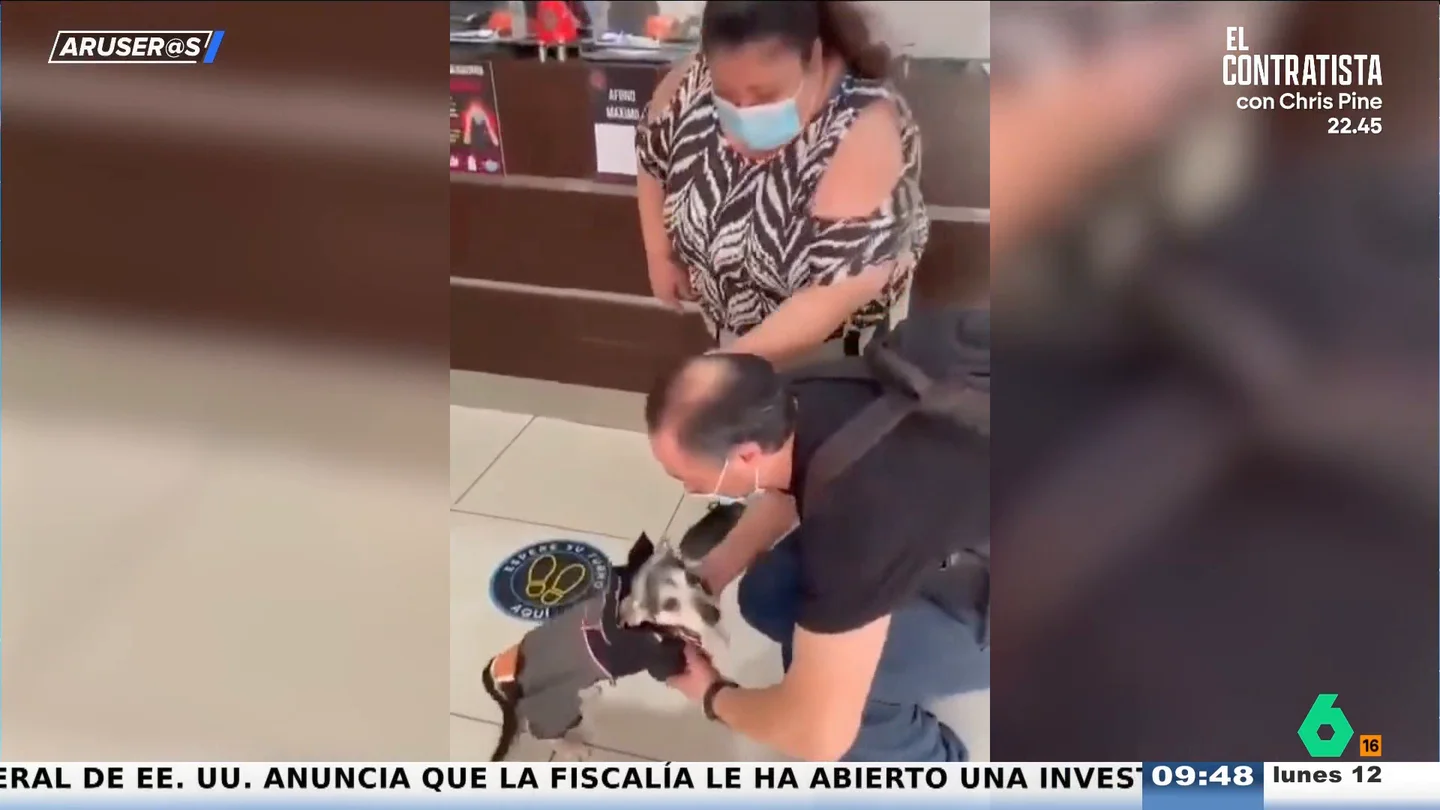 El emotivo reencuentro de un perro con su familia tras pasar 21 días en la UCI El emotivo reencuentro de un perro con su familia tras pasar 21 días en la UCI