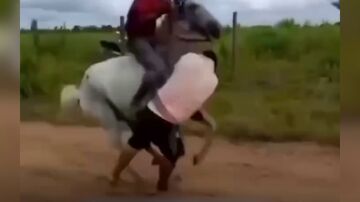Caballo