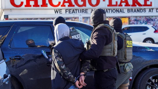 Agentes federales de EEUU se llevan detenida a una persona Agentes federales de EEUU se llevan detenida a una persona