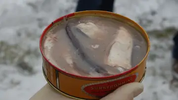 Surströmming Surströmming