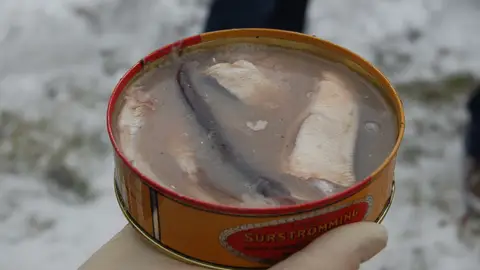 Surströmming Surströmming