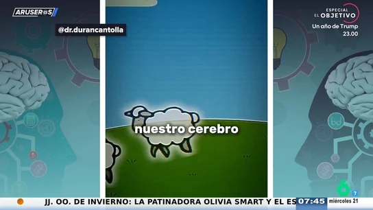 Contar ovejas no sirve para dormir: un experto desmonta el mito más extendido del sueño Contar ovejas no sirve para dormir: un experto desmonta el mito más extendido del sueño