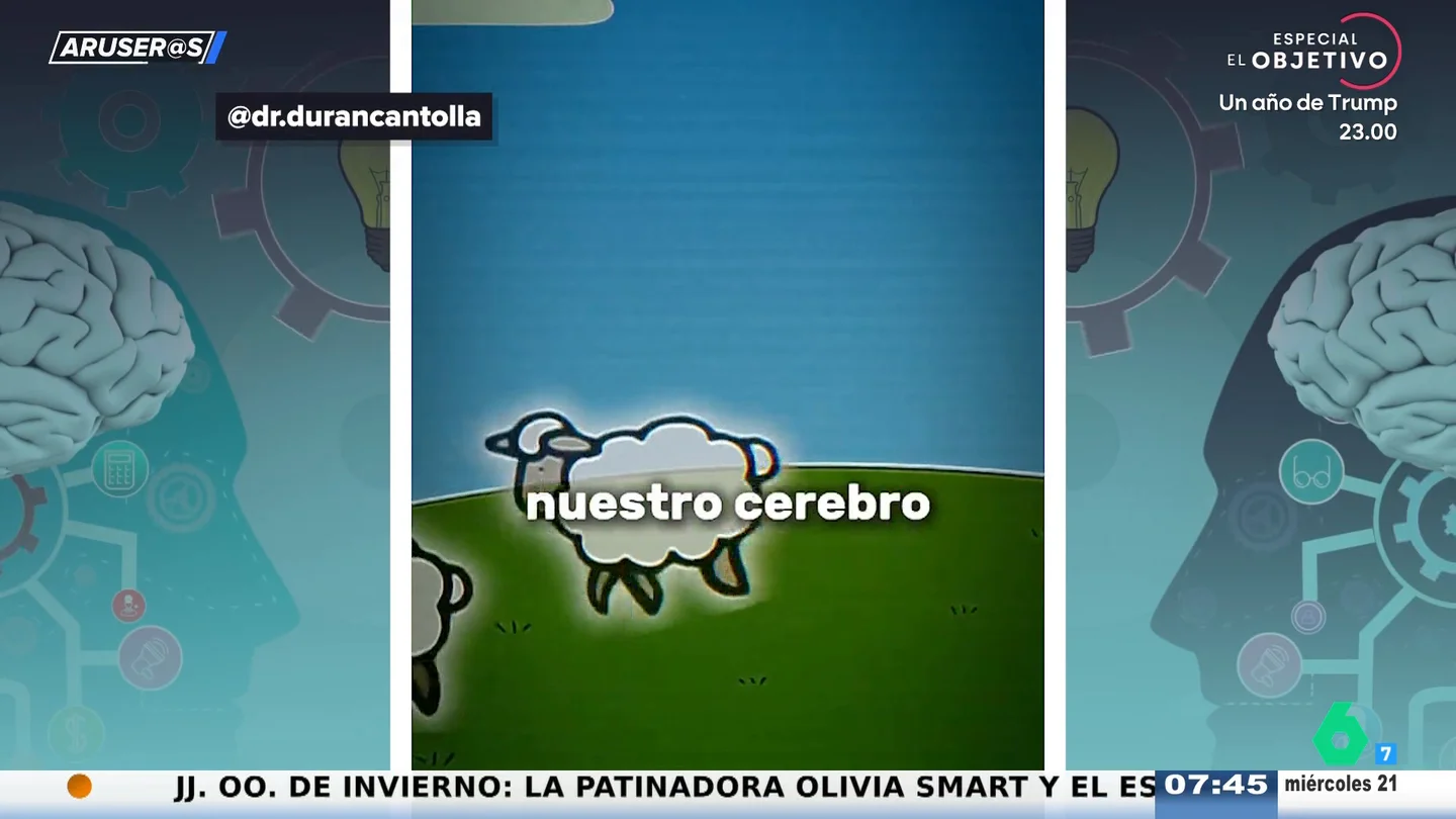 Contar ovejas no sirve para dormir: un experto desmonta el mito más extendido del sueño Contar ovejas no sirve para dormir: un experto desmonta el mito más extendido del sueño