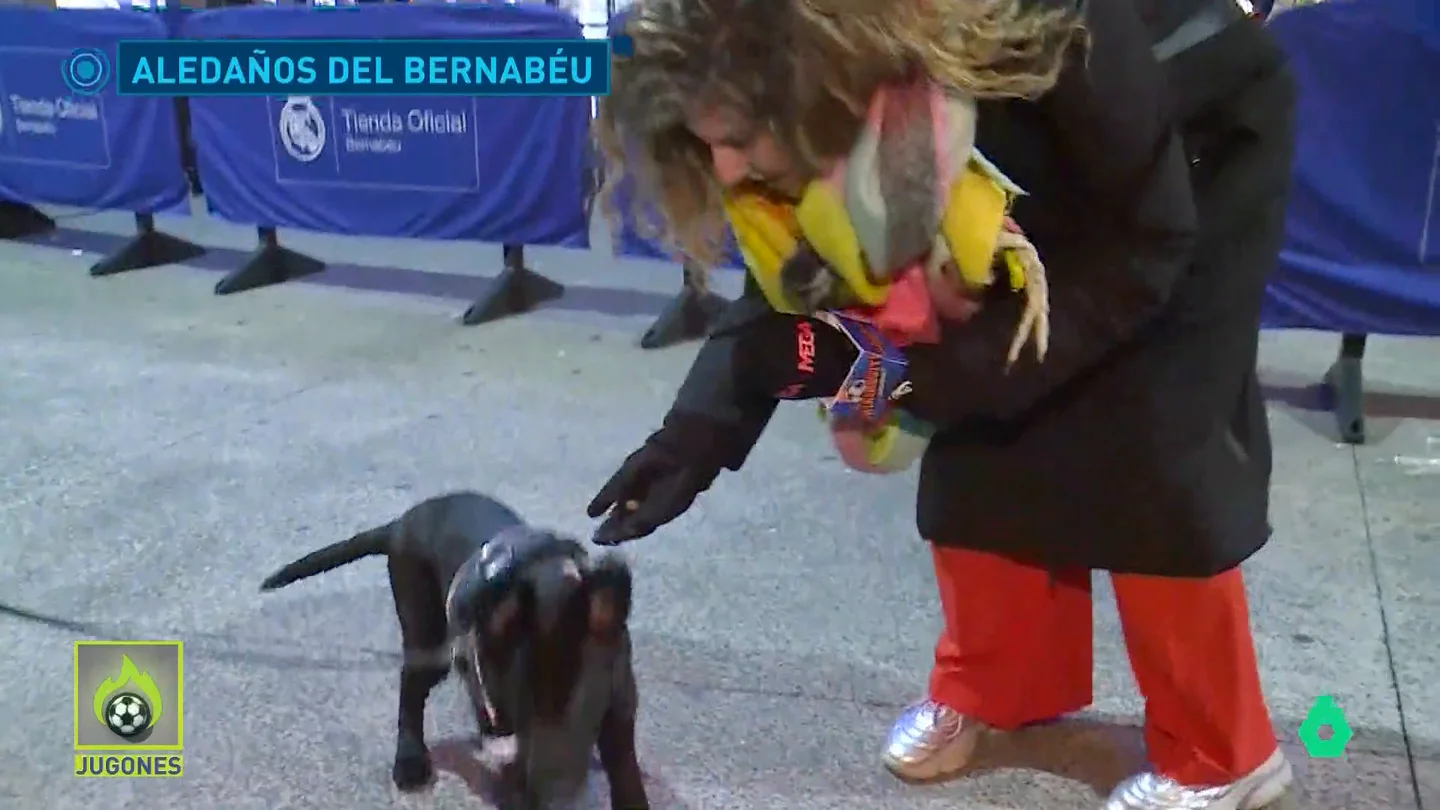 Perro Perro