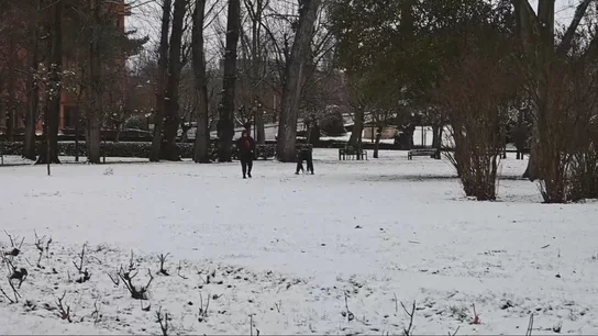 Imagen de un parque completamente nevado en León Imagen de un parque completamente nevado en León