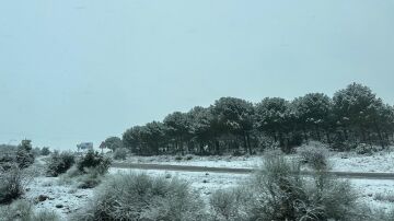 carretera con nieve