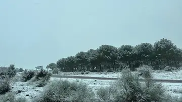 carretera con nieve carretera con nieve