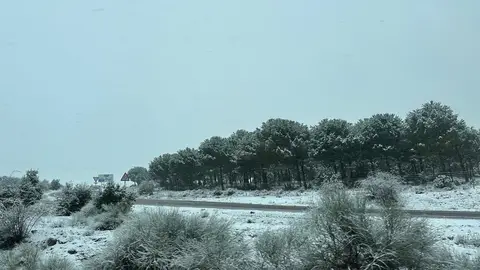 carretera con nieve carretera con nieve