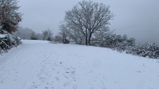 Vilari&ntilde;o de Conso (Ourense)