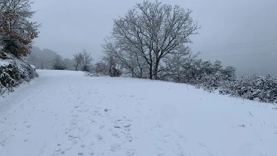 Vilariño de Conso (Ourense) Vilariño de Conso (Ourense)
