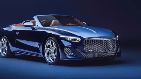 La mujer que dona millones para salvar animales y que de vez en cuando se compra espectaculares Bentley de lujo La mujer que dona millones para salvar animales y que de vez en cuando se compra espectaculares Bentley de lujo