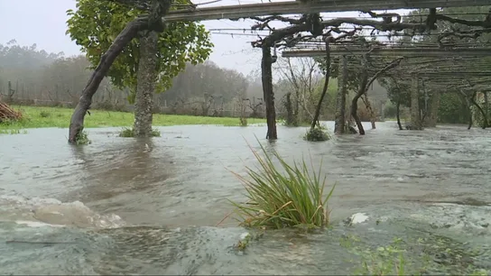 Imagen del río Gallo a su paso por Cuntis (Pontevedra) Imagen del río Gallo a su paso por Cuntis (Pontevedra)