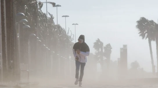 Un hombre camina por el Paseo Marítimo de Almería entre el fuerte viento que se registra, este martes. Un hombre camina por el Paseo Marítimo de Almería entre el fuerte viento que se registra, este martes.