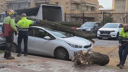 Imagen de un arbol caído encima de un coche por el efecto de Kristin Imagen de un arbol caído encima de un coche por el efecto de Kristin