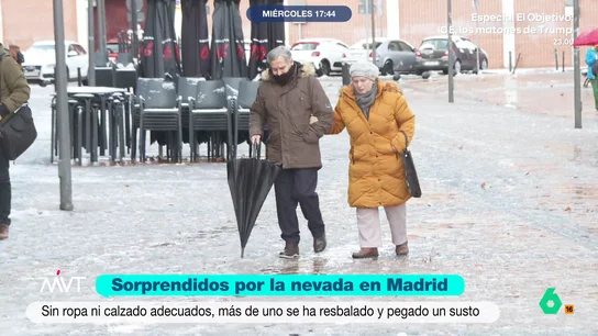 despistados temporal despistados temporal