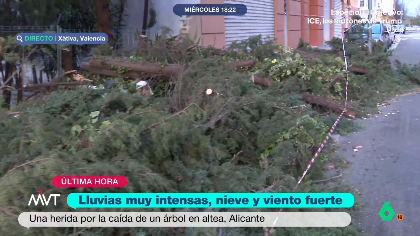 Herida una mujer en Altea al caerle un árbol encima por el fuerte viento