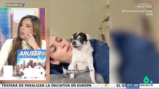 Alfonso Arús alucina con María Pita, la chihuahua 'influencer' que factura medio millón al mes Alfonso Arús alucina con María Pita, la chihuahua 'influencer' que factura medio millón al mes