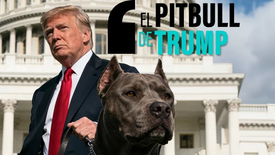 El hombre que nunca se va: Corey Lewandowski, 'el pitbull de Trump' al que siempre perdona El hombre que nunca se va: Corey Lewandowski, 'el pitbull de Trump' al que siempre perdona