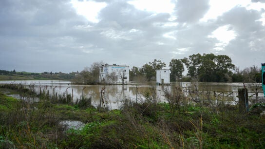 Im&aacute;genes del r&iacute;o Guadalete a su paso por la barriada de la Corta 
