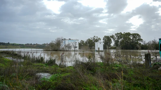 Imágenes del río Guadalete a su paso por la barriada de la Corta Imágenes del río Guadalete a su paso por la barriada de la Corta