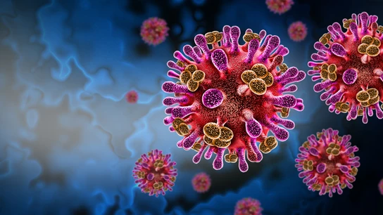 Virus Nipah Virus Nipah