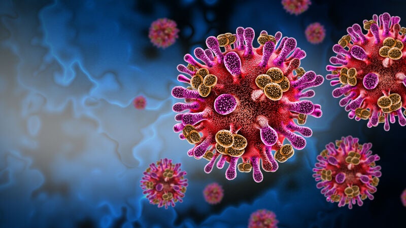 El virus Nipah hace saltar las alarmas: qué es, síntomas y cómo se transmite