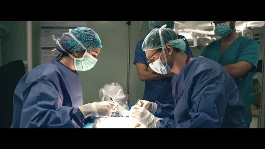 El tenso momento en el que intentan salvar los riñones de un fallecido para trasplantarlo a una persona: "Hay que hacer una biopsia de urgencia" El tenso momento en el que intentan salvar los riñones de un fallecido para trasplantarlo a una persona: "Hay que hacer una biopsia de urgencia"