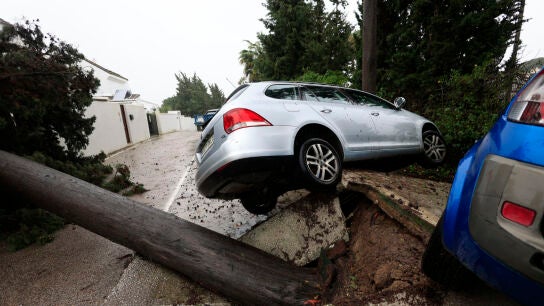 Imagen de un &aacute;rbol ca&iacute;do y coches afectados tras el paso de la borrasca Leonardo, en la localidad gaditana de Los Barrios (C&aacute;diz)