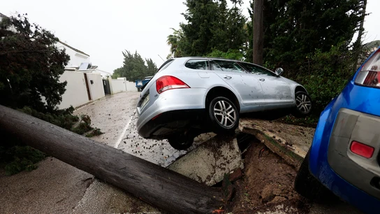 Imagen de un árbol caído y coches afectados tras el paso de la borrasca Leonardo, en la localidad gaditana de Los Barrios (Cádiz) Imagen de un árbol caído y coches afectados tras el paso de la borrasca Leonardo, en la localidad gaditana de Los Barrios (Cádiz)