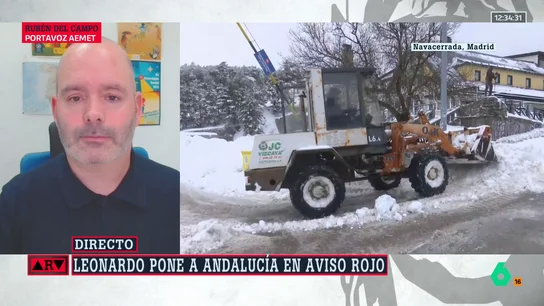 rubén del campo rubén del campo