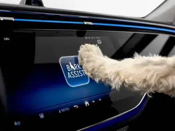 Cuando los fabricantes de coches no se olvidan del mejor amigo del hombre Cuando los fabricantes de coches no se olvidan del mejor amigo del hombre